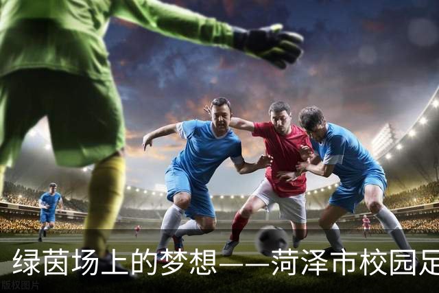 绿茵场上的梦想——菏泽市校园足球推进成效揭示